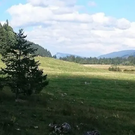 Du Bief De La Chaille Les Rousses